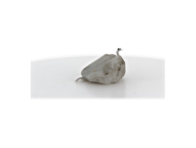 Bocal lave glace - Aixam S10 - CQ130006 - B1-3668R