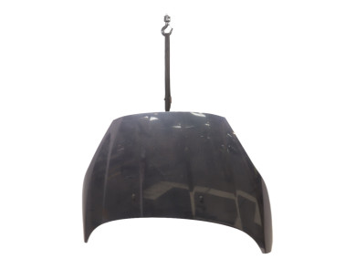 Hood (Bonnet) - Ford FIESTA VI PH.2 - Gris Fonce - 2002312 - Q1-5595A
