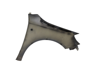 Left front fender - Skoda ROOMSTER PH.2 - Gris Fonce - 5J0821021A - G1-4037X