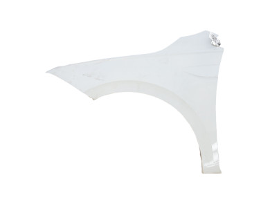 Left front fender used - Volkswagen POLO - 2G0821105