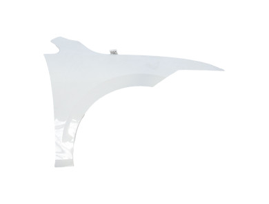 Right front fender used - Volkswagen GOLF - 5H0821022B