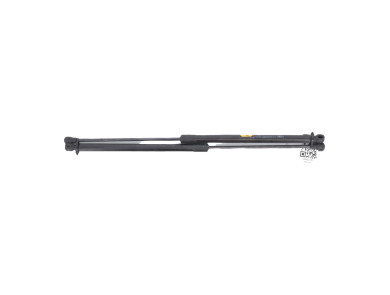 Trunk gas spring (x2) used - DS DS4 - 9851372880