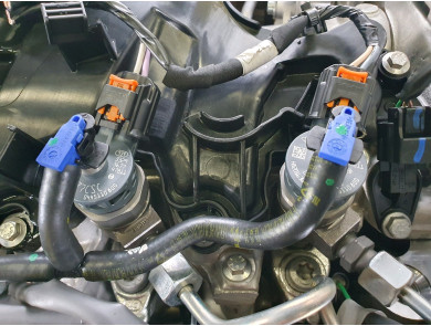 Engine type K9K876 - Renault KANGOO III - C1-2587W