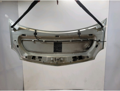Hood (Bonnet) - Renault KANGOO II PH.2 - Gris Clair - 651003220R - Y1-4481P
