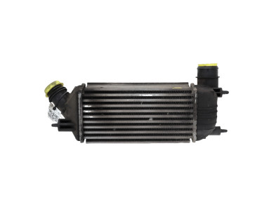 Intercooler - Fiat SCUDO II - 0001440010980 - P0-9806F