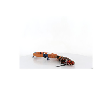 Power cable - Renault R4 II - 291Y18694R - K1-8550F