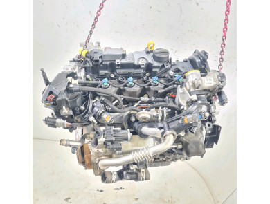 Moteur type XUJG - Ford FIESTA VII PH.1 - I2-1767X