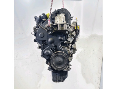 Engine used - Ford FOCUS - T1DA