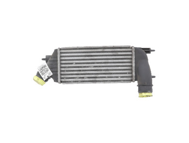 Échangeur air-air / Intercooler - Citroen JUMPY II - 0384P2 - W1-5323A