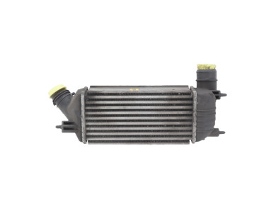 Intercooler - Citroen JUMPY II - 0384P2 - W1-5323A