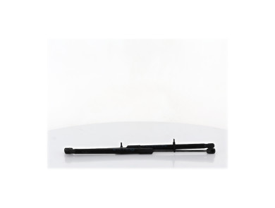 Trunk gas spring (x2) - Mazda MAZDA 3 IV - Gris Fonce - BDMT63620 - A1-9943S