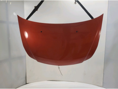 Hood (Bonnet) - Suzuki SX4 I - 57300-79J00 - H1-3416S