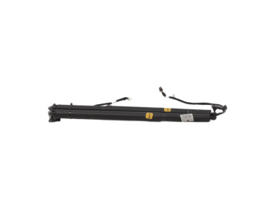 Trunk gas spring (x2) - Maserati LEVANTE - 670109047 - V1-4438I