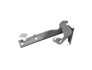Charnières de capot - Volkswagen TIGUAN I PH.2 - Marron Fonce - 5N0823301A - T1-3894K