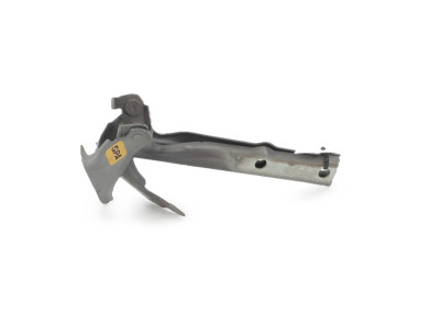 Charnières de capot - Volkswagen TIGUAN I PH.2 - Marron Fonce - 5N0823301A - T1-3894K