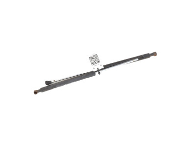 Paire verins coffre hayon malle - Renault CLIO III PH.1 - Inconnu - 8200299546 - S1-2925H