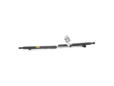 Trunk gas spring (x2) - Renault CLIO III PH.2 - Gris Clair - 8200299546 - F1-2631W