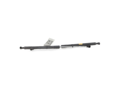 Trunk gas spring (x2) - Renault CLIO III PH.2 - Gris Clair - 8200299546 - F1-2631W