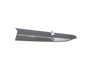 Left front door trim