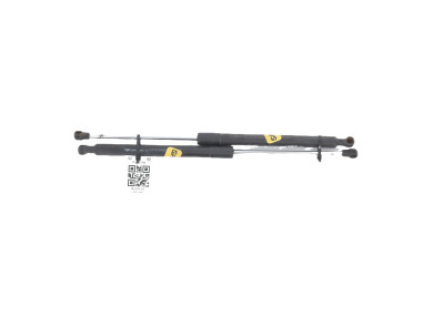 Paire verins coffre hayon malle - Renault CLIO III PH.2 - Blanc - 8200299546 - F1-8537B