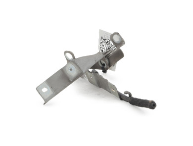 Hood hinges - Citroen C3 II PH.1 - Beige Clair - 00007912F7 - Z1-3515X