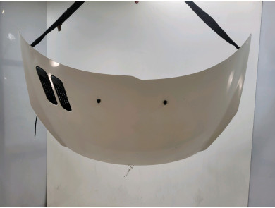 Hood (Bonnet) - Peugeot 206 + - Blanc - 7901R5 - J0-7787R