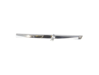 Right front door trim