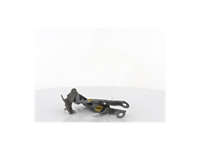 Hood hinges - Chevrolet CRUZE PH.1 - Gris Clair - 95406038 - G1-6962P