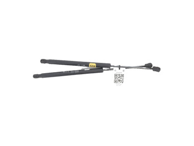 Hood gas spring - Chevrolet CAPTIVA PH.3 - Beige Clair - 95494362 - F0-6539J