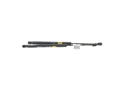 Hood gas spring - Chevrolet CAPTIVA PH.3 - Beige Clair - 95494362 - F0-6539J