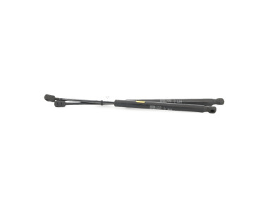 Hood gas spring - Chevrolet CAPTIVA PH.3 - Beige Clair - 95494362 - F0-6539J
