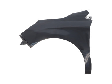 Left front fender - Citroen C4 II PH.1 - Noir - 00007840AS - C1-8705H