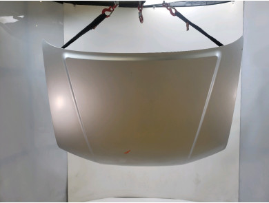 Hood (Bonnet) used - Nissan PATHFINDER - F5100EB3MA