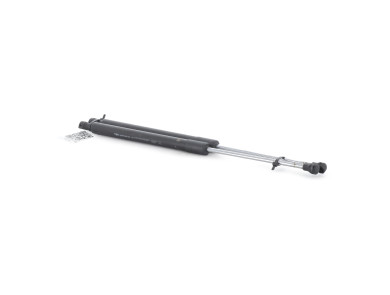 Paire verins coffre hayon malle - Renault CLIO III PH.1 - Gris Clair - 8200299546 - V1-9716L
