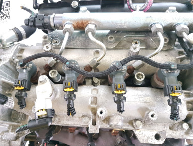 Engine type 188A8000 - Fiat PANDA - X0-5528Z