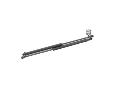 Trunk gas spring (x2) - Renault CLIO III PH.2 - Noir - 8200299546 - I1-9201B