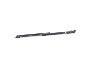 Trunk gas spring (x2) - Renault CLIO III PH.2 - Noir - 8200299546 - I1-9201B