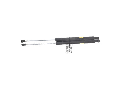 Paire verins coffre hayon malle - Renault CLIO III PH.2 - Blanc - 8200299546 - Y1-6580G
