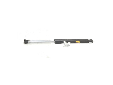 Paire verins coffre hayon malle - Renault CLIO III PH.2 - Blanc - 8200299546 - Y1-6580G