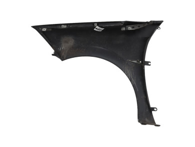 Right front fender - Renault MEGANE II PH.2 - Noir - 7701474923 - F1-3603K