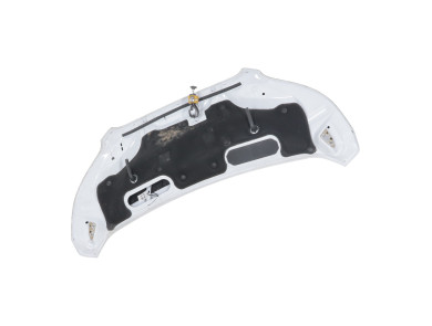 Hood (Bonnet) - Ford TRANSIT V PH.1 - 2485550 - Z1-4207H