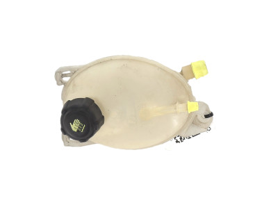 Coolant expansion tank - Renault CLIO IV PH.1 - 217104354R - G1-6721H