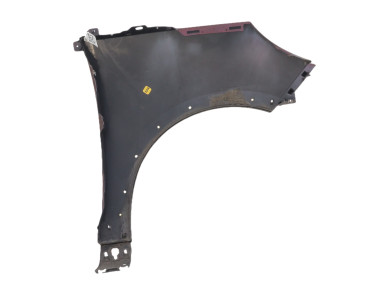 Left front fender - Renault SCENIC III PH.3 - Rouge Fonce - 631014307R - Q1-5866X