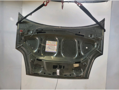 Hood (Bonnet) - Fiat PUNTO EVO III - Vert Fonce - 51701140 - K1-6997Z