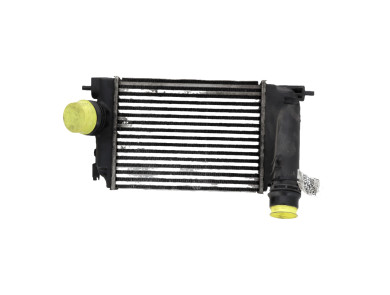 Intercooler - Renault SCENIC IV - 144614EA1B - Z1-1953U