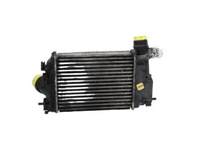 Intercooler - Renault SCENIC IV - 144614EA1B - Z1-1953U
