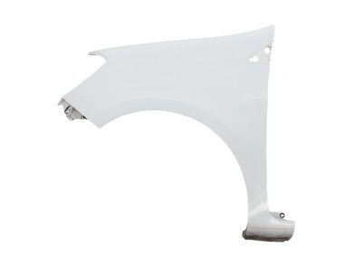 Left front fender - Renault CLIO III PH.2 - Blanc - 631014270R - T1-9038K