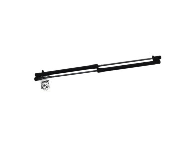 Trunk gas spring (x2)