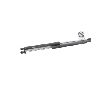 Trunk gas spring (x2) - Renault CLIO III PH.2 - Blanc - 8200299546 - V1-8592C