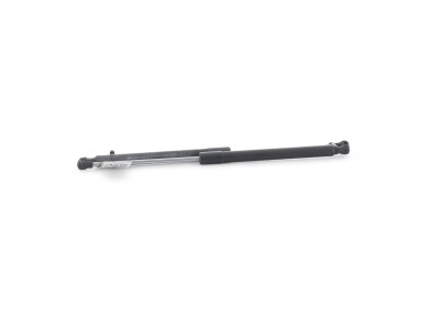 Trunk gas spring (x2) - Renault CLIO III PH.2 - Blanc - 8200299546 - V1-8592C